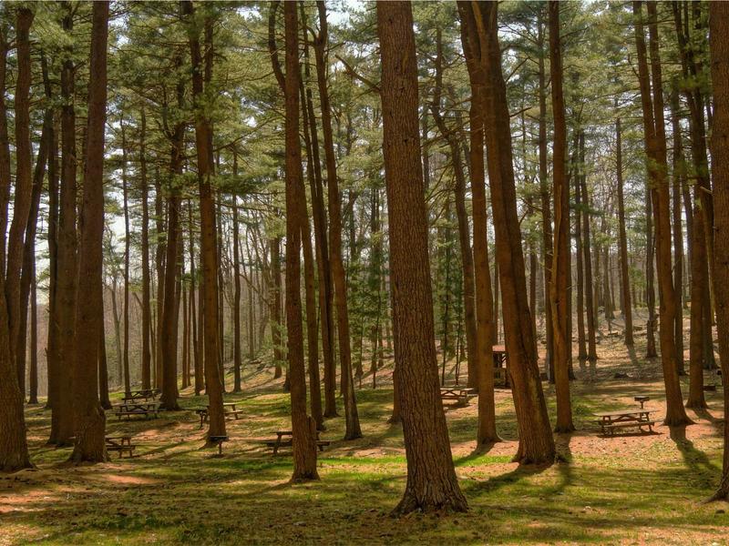 sudoku senior friendly screenshot 2