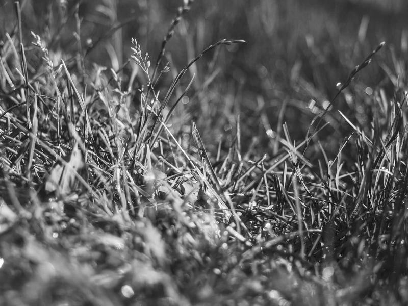 sudoku senior friendly screenshot 3